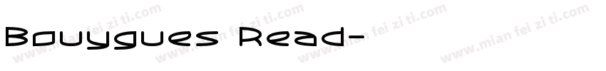 Bouygues Read字体转换